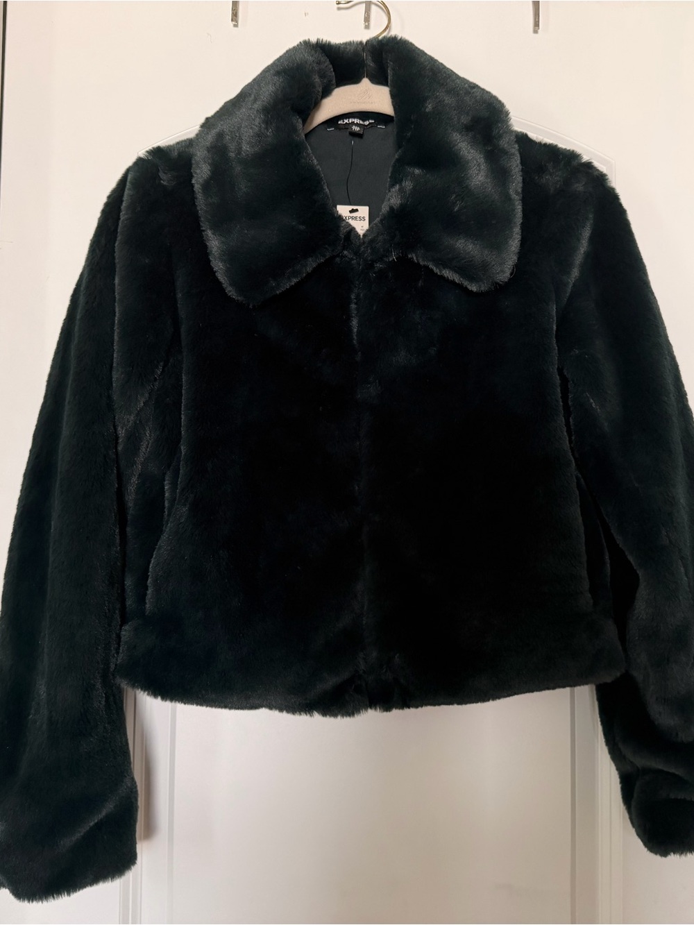 Express Black Teddy Faux Fur Jacket